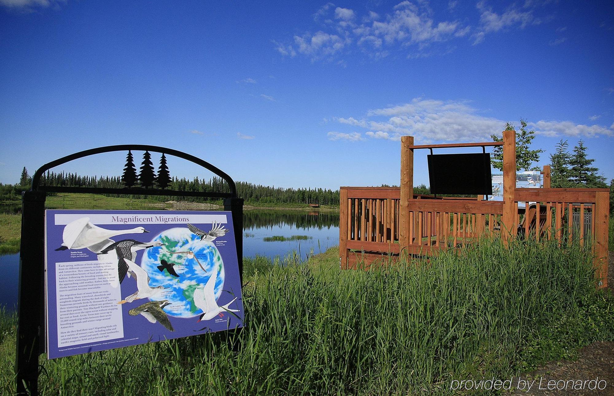 Bear Lodge Fairbanks Exterior photo